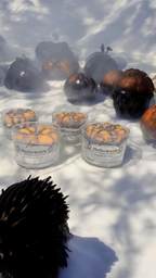 Halloween geurkaars Handgemaakt Stabroek