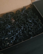 Ritual No Bad JuJu box handgemaakte geurkaarsen Zentao Stabroek